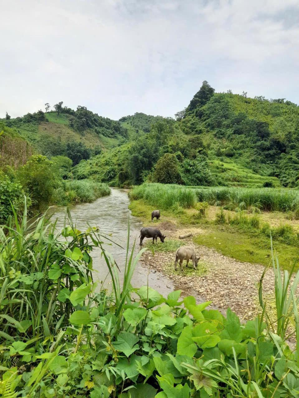 Khách sạn Vườn Quốc gia Ba Bể Bac Kan Esterno foto